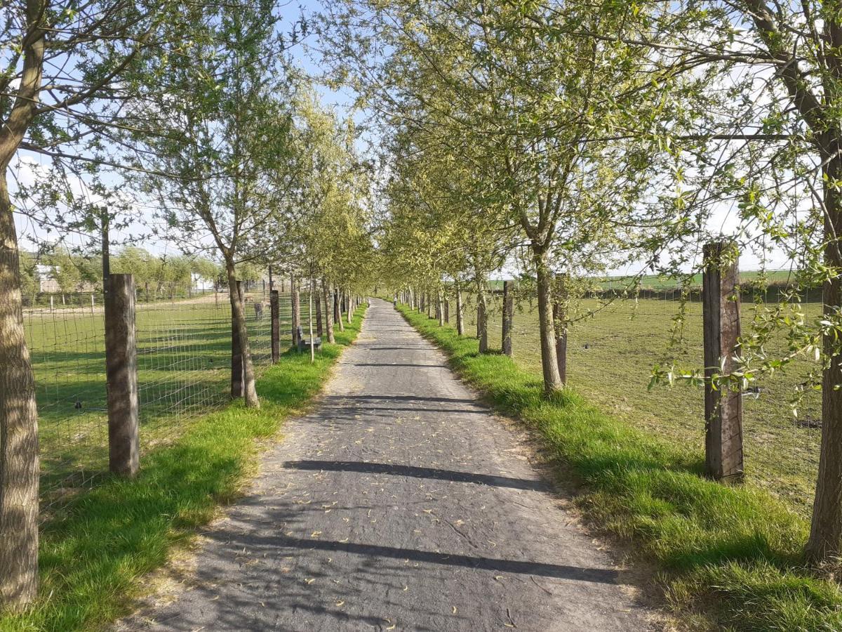 La Ligule Villa Mignault Kültér fotó